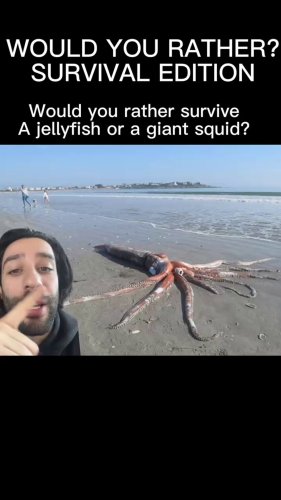 Would You Rather Survive a Jellyfish or a Giant Squid?