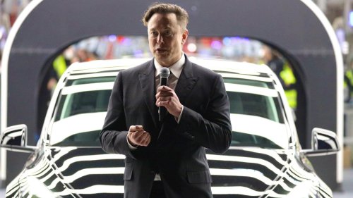 Steve Wozniak slams Tesla and Elon Musk in latest interview
