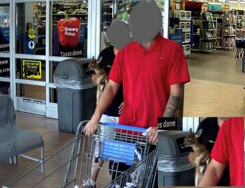 Why you should never take your fawn into Walmart