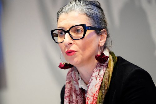 UN expert outlines how companies profit from Israel’s genocide