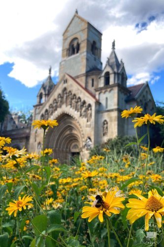 Magazine - BUDGET TRAVEL VACATION IDEAS 💰