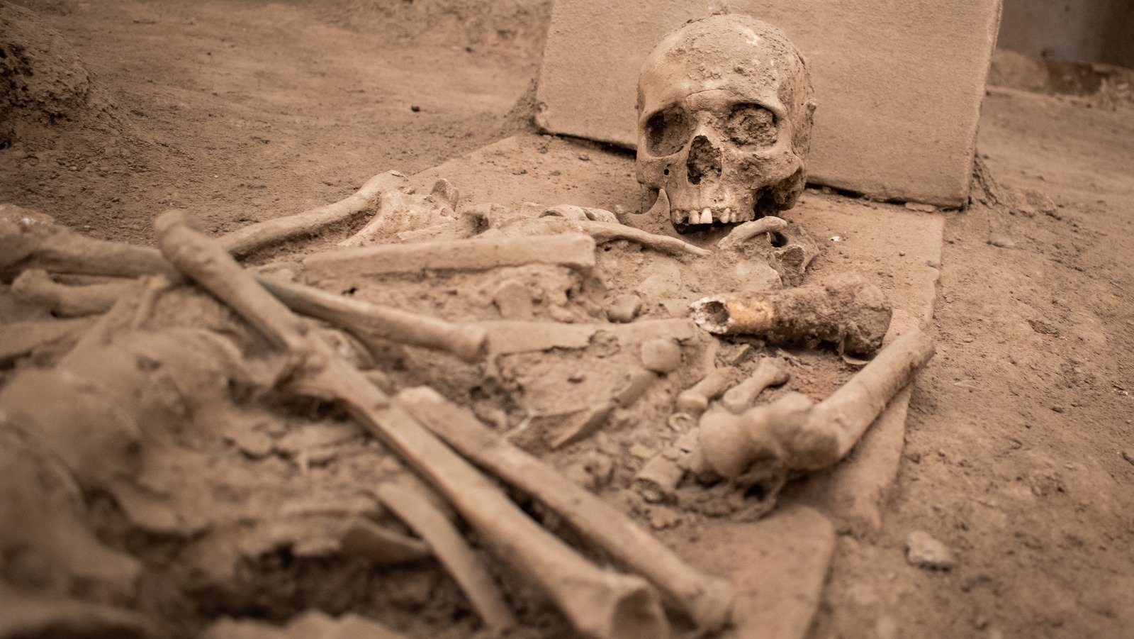 DNA Tests Reveal Skeleton Of Cleopatra's Family Member Isn't Who We Thought