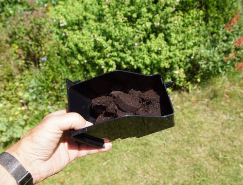 WHY YOU SHOULD PUT COFFEE GROUNDS ON YOUR LAWN