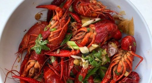 Find the Best Seafood While Traveling