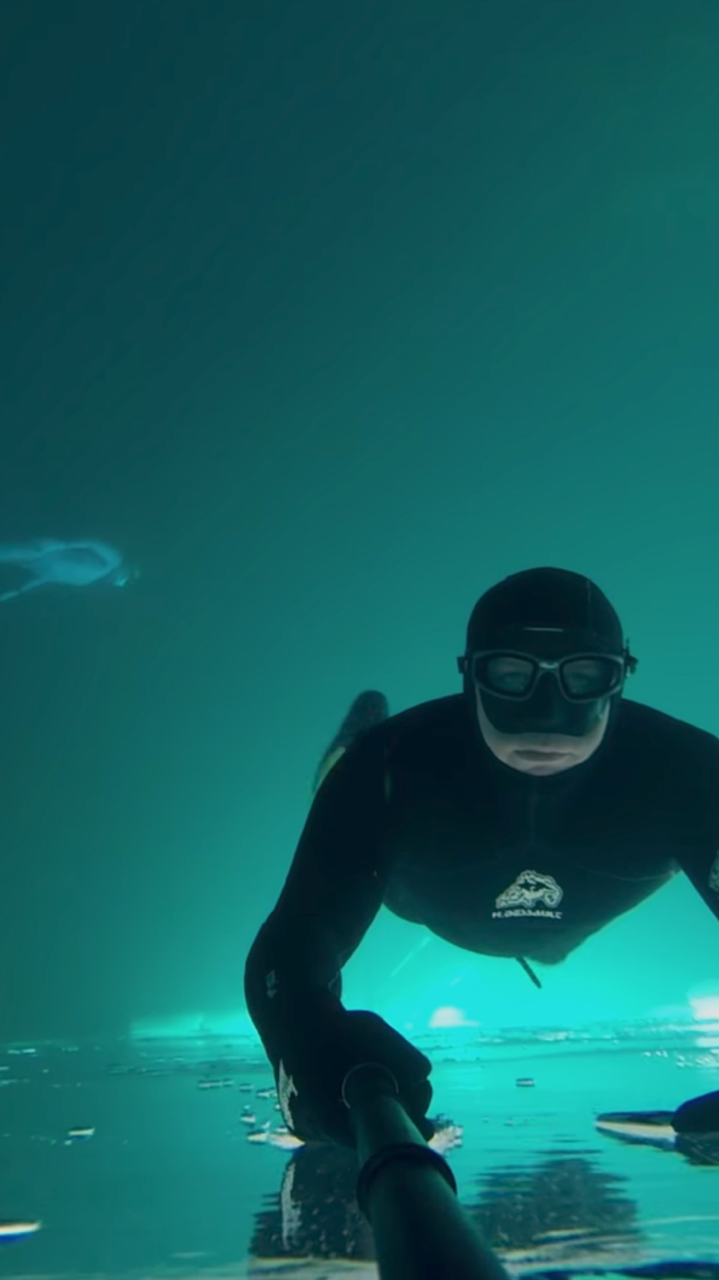 Underwater by GoPro cover image