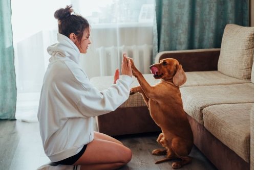 Worst Mistakes Owners Make With Their Dogs - Do You Do Any of These?