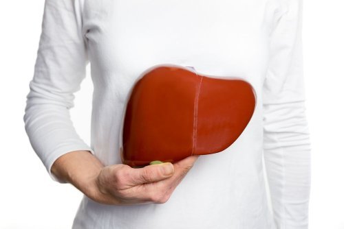 what-is-a-high-liver-enzyme-count-number-fatty-liver-disease