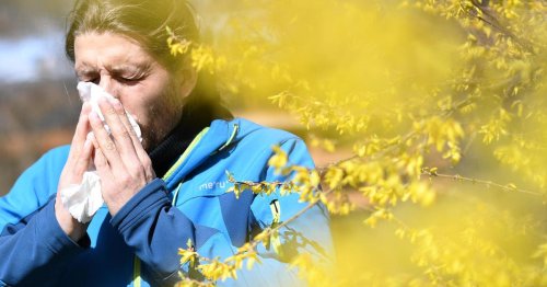 These are the best and worst cities to live in if you have seasonal allergies