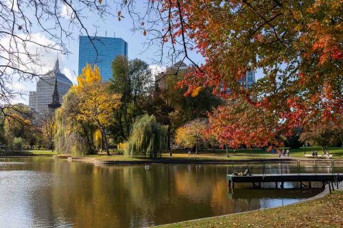 Why you should visit Boston in the fall