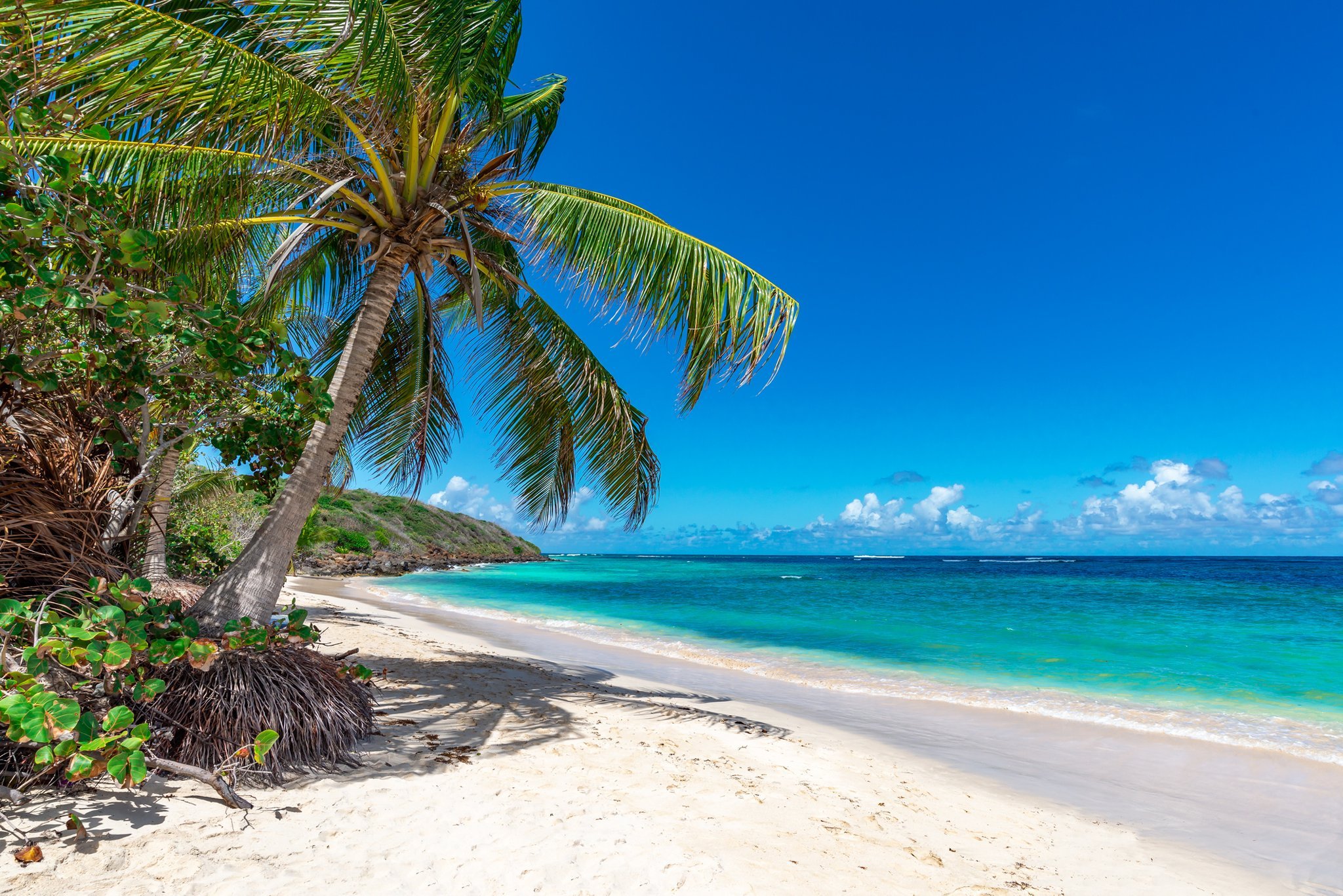 The Best Beaches In The Caribbean, Ranked & Food To Discover