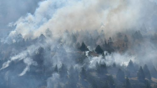 Oregon’s Cram Fire Nears Megafire Status, Burning Over 95k Acres