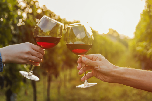 Say 'cheers' to these heathy benefits of wine