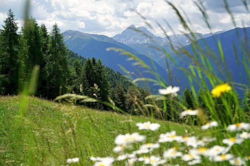 Wandern & Genießen in Südtirol