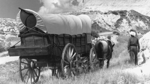 Here's What It Was Really Like To Pioneer On The Oregon Trail