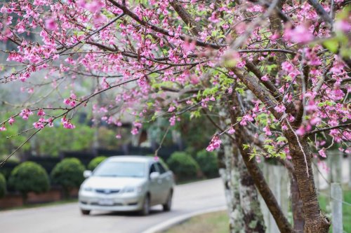 How to make sure your car is ready for spring weather