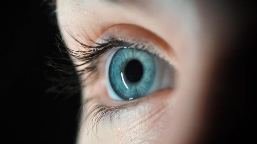 If You've Ever Felt Like Someone's Watching You, Here's Why