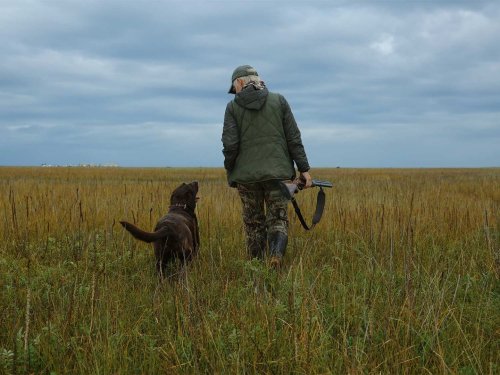 Why you should pick the most energetic puppy in a litter