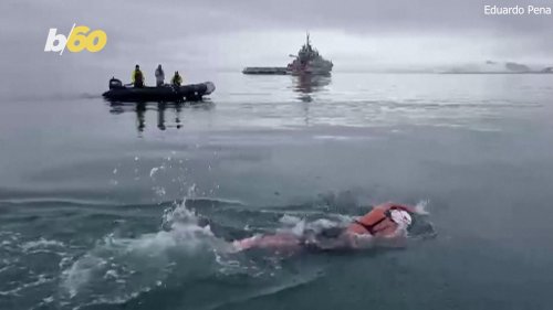 ‘Ice Mermaid’ Breaks New Record, Swimming in Arctic Waters