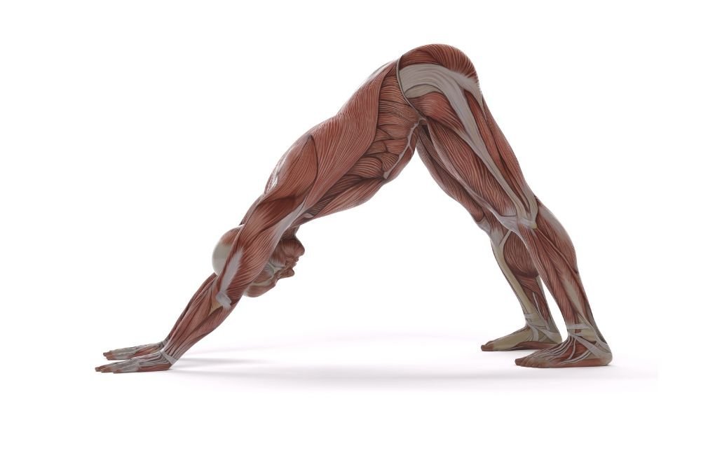 Your Body Doesn't Have to Get Stiff: 5 Daily Stretches That Keep You Young