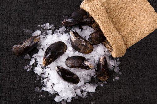 The best places to buy seafood online bring today’s catch to your door