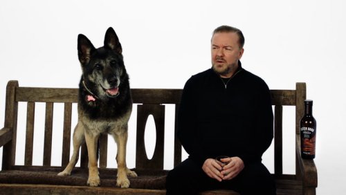 Watch: Ricky Gervais reunites with beloved dog from After Life