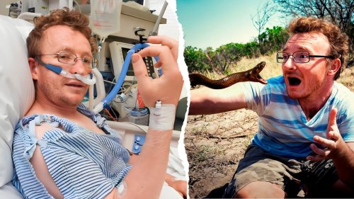 How to Survive The Inland Taipan