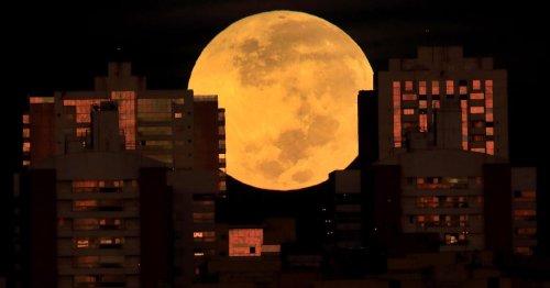 Rare "super flower blood moon" lunar eclipse: See the stunning photos