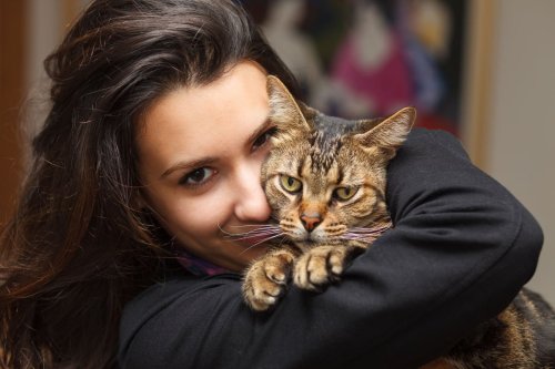 World's Most Affectionate Cats