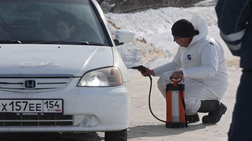 Russia: Emergency declared over cattle infections in Novosibirsk Region, Russia
