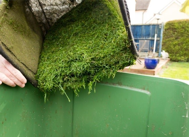 Solved! The Great Debate on What to Do with Grass Clippings