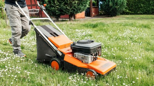 Think twice before using these weed removal tricks 