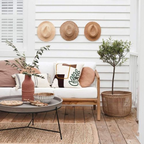 Brilliant container plant ideas