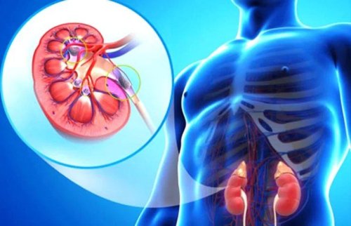 10 Silent Signs That Your Kidneys Aren’t Working Properly