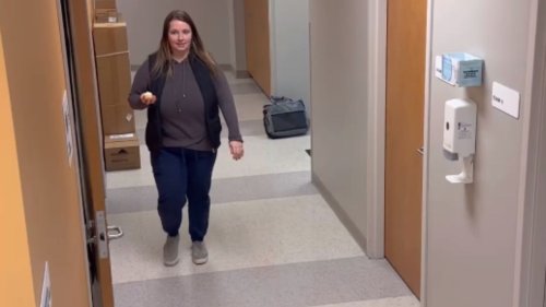 Woman walking down the hall smashes her cupcake into a wall after collision *Hilarious Fail*