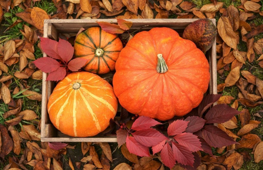 When Is the First Day of Fall? Fun Facts About the Fall Equinox