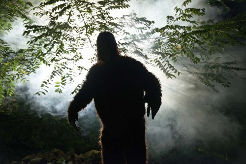 A tall runner or Bigfoot? Inside the latest Sasquatch sighting in Washington