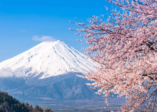 Here's Where to Explore Near Tokyo!