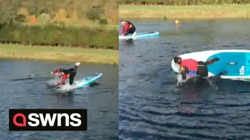Family tries their hardest to keep their balance on paddleboards before FACE-PLANTING into water