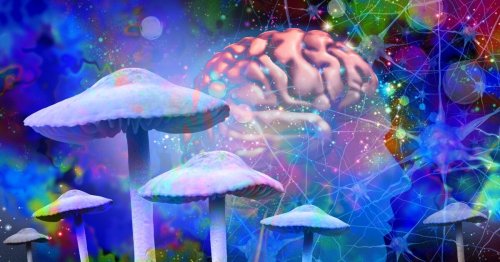 Psilocybin alcoholism trial highlights problem for psychedelic science