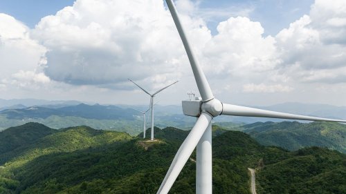 How Many Birds Are Killed by Wind Turbines, Really?