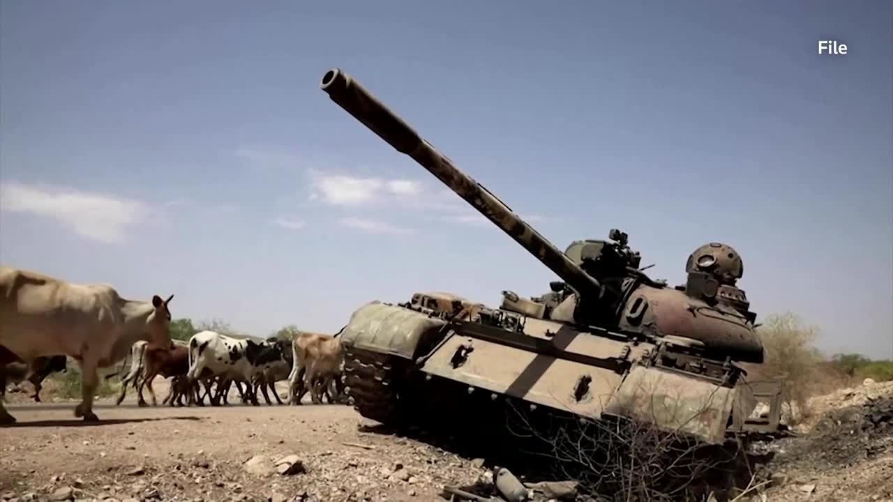 Dozens killed in Tigray air strike: medical official