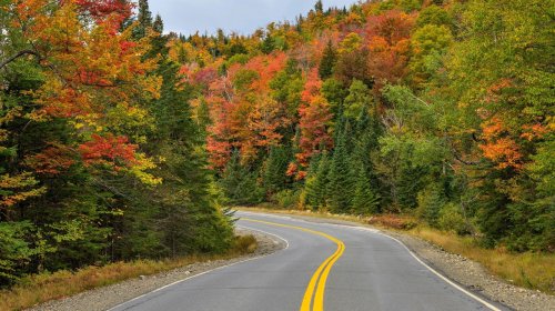 The Most Scenic Drives To Take In Maine