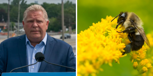 Doug Ford Accidentally Swallowed A Bee & It Was 'Buzzing Around' Inside Him