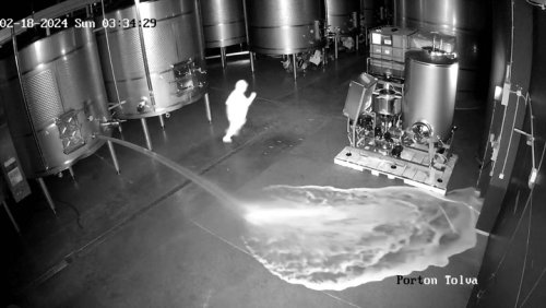 Moment €2.5m worth of red wine spilled by suspect in Spanish warehouse