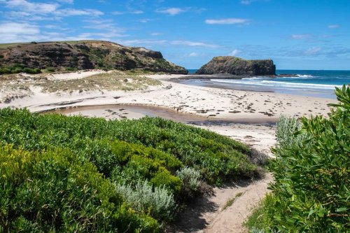 Don't Miss This Stunning Coastal Walk Just Outside Melbourne