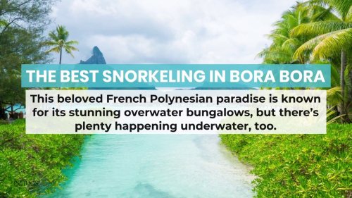 The Best Snorkeling in Bora Bora