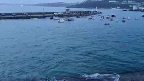 A tourist spotted a "huge" shark swimming around a harbour during high tide