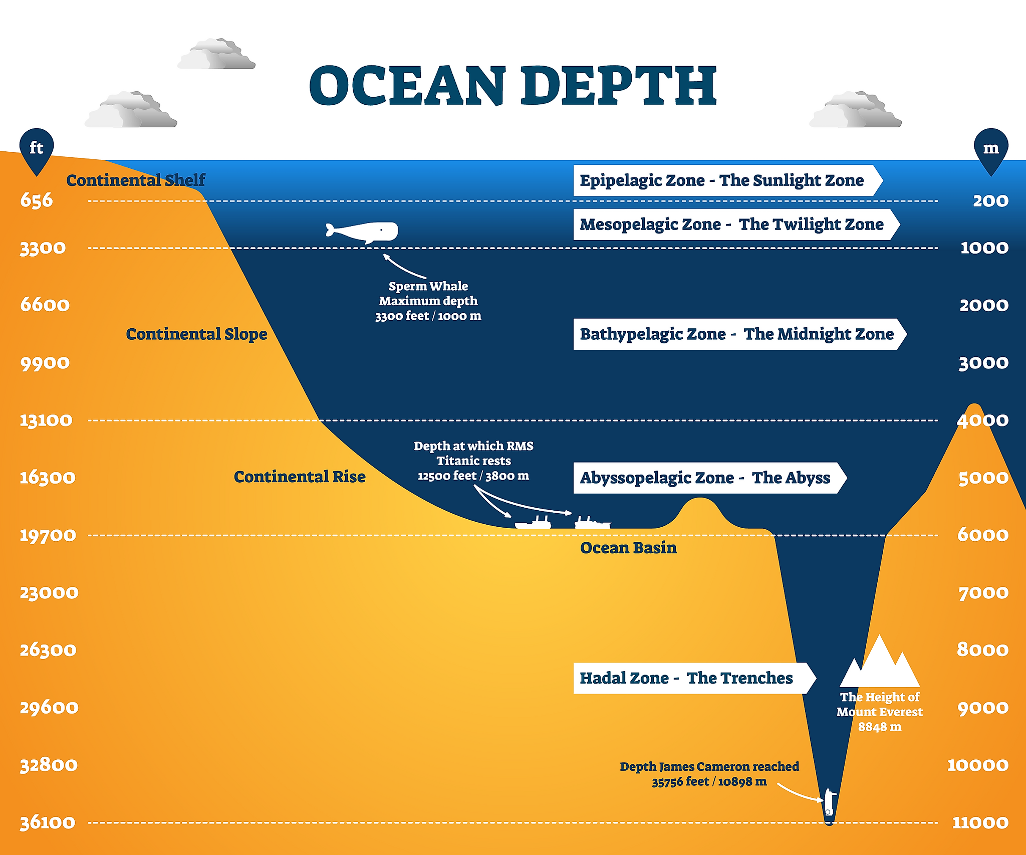 The Mariana Trench Is 7 Miles Deep What’s Down There? Flipboard