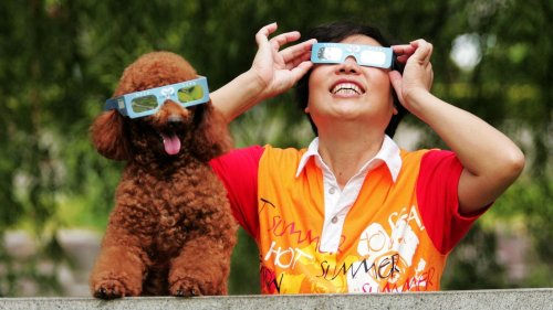 How To Keep Your Eyes, Children And Pets Safe During The Total Solar Eclipse