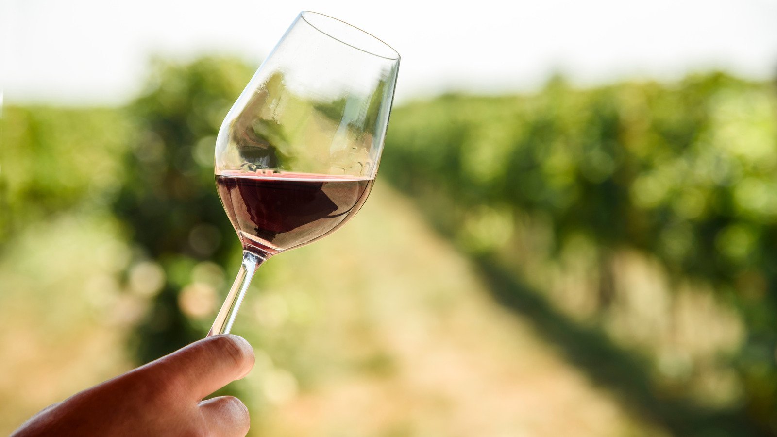 This Florida Winery Has Produced The First Wine Made From Avocados